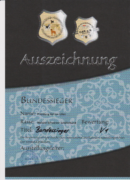 16-05-01-bundessieger-schau-heidelberg