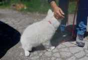 Giny-04